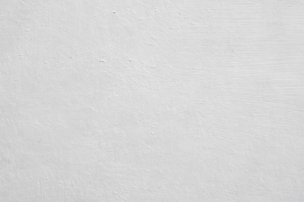 Best Attic Mold Removal  in Corbin, KY