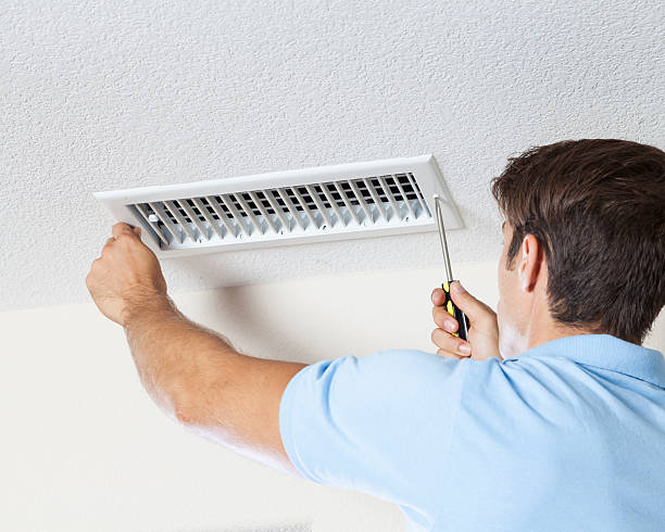  Corbin, KY Mold Removal Pros