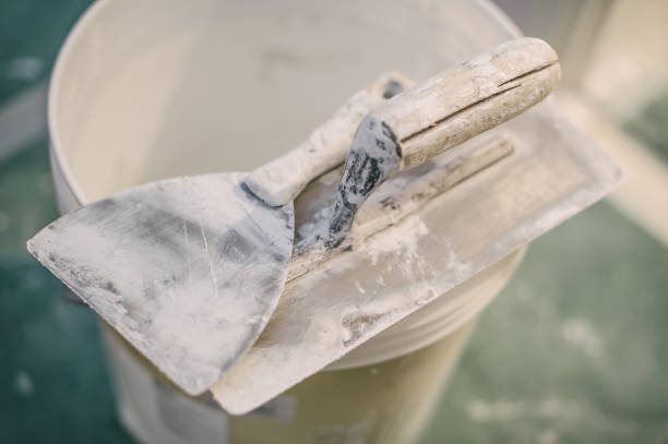 Best Basement Mold Removal  in Corbin, KY