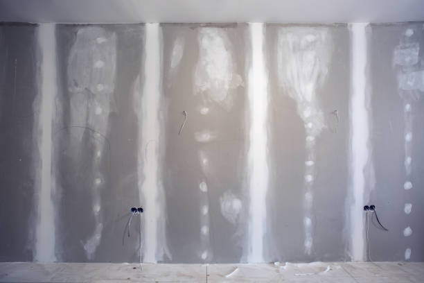 Best Airborne Mold Testing  in Corbin, KY